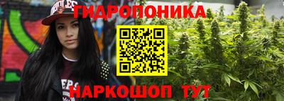 каннабис Шебекино