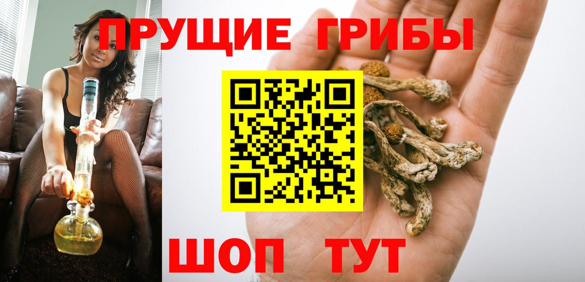 Псилоцибиновые грибы Cubensis  Псилоцибиновые грибы мухоморы  Баксан  Вход с VPN 