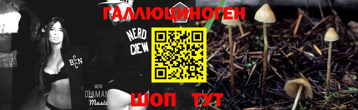 Псилоцибиновые грибы GOLDEN TEACHER Баксан